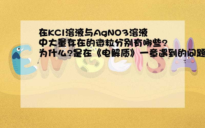 在KCl溶液与AgNO3溶液中大量存在的微粒分别有哪些?为什么?是在《电解质》一章遇到的问题.