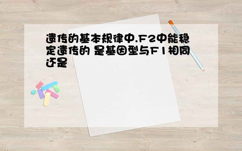 遗传的基本规律中.F2中能稳定遗传的 是基因型与F1相同还是