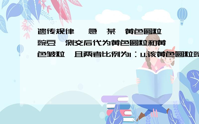 遗传规律 【急】某一黄色圆粒豌豆,测交后代为黄色圆粒和黄色皱粒,且两者比例为1：1.1.该黄色圆粒豌豆的基因型为（ ）2.理由是（ ）