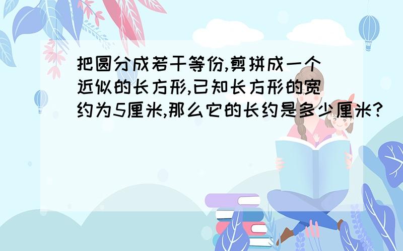 把圆分成若干等份,剪拼成一个近似的长方形,已知长方形的宽约为5厘米,那么它的长约是多少厘米?