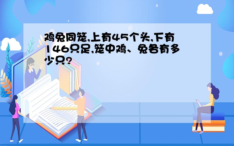 鸡兔同笼,上有45个头,下有146只足,笼中鸡、兔各有多少只?