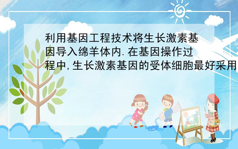 利用基因工程技术将生长激素基因导入绵羊体内.在基因操作过程中,生长激素基因的受体细胞最好采用 （ ） A．乳腺细胞 B．体细胞 C．受精卵 D． 精巢 为什么选C啊.选A不行吗