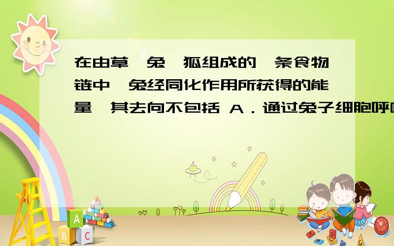 在由草、兔、狐组成的一条食物链中,兔经同化作用所获得的能量,其去向不包括 A．通过兔子细胞呼吸释放在由草、兔、狐组成的一条食物链中,兔经同化作用所获得的能量,其去向不包括A．通