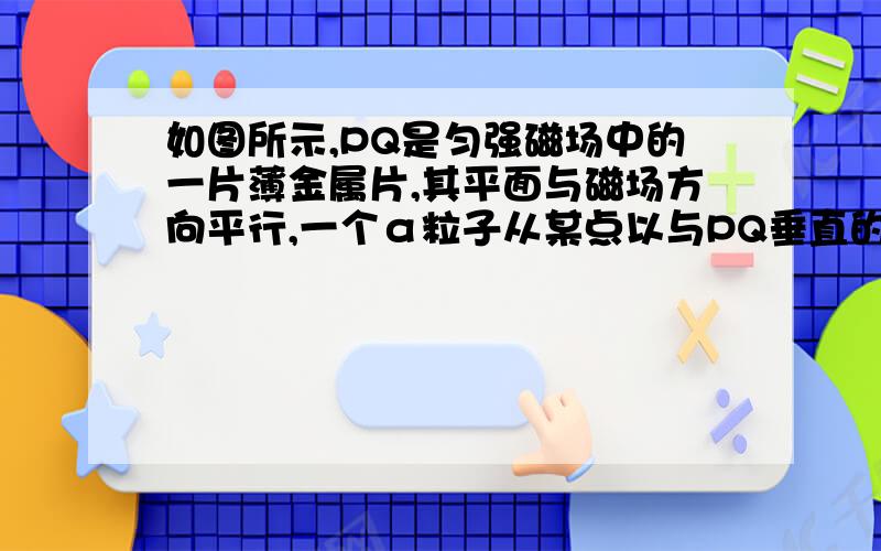 如图所示,PQ是匀强磁场中的一片薄金属片,其平面与磁场方向平行,一个α粒子从某点以与PQ垂直的速度v射出,动能是E,射出后α粒子的运动轨迹如图所示.今测得它在金属片两边的轨迹半径之比为