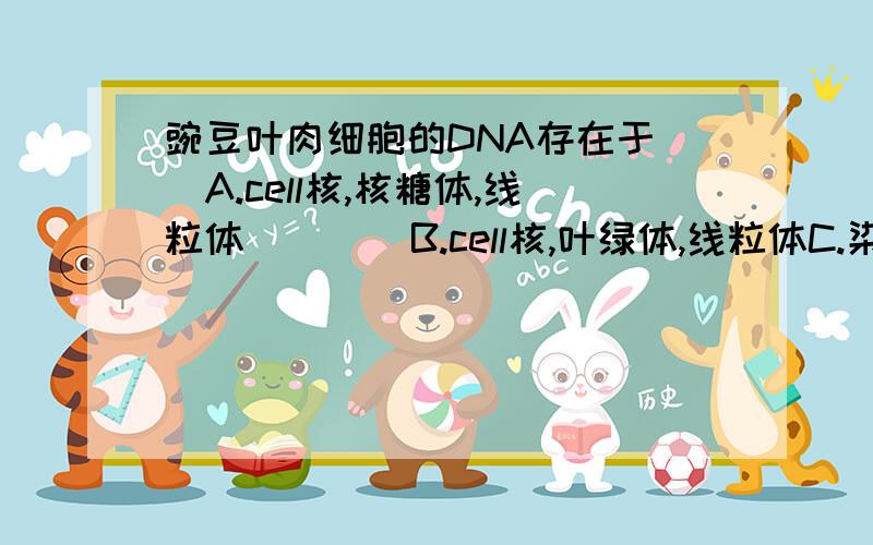 豌豆叶肉细胞的DNA存在于（）A.cell核,核糖体,线粒体        B.cell核,叶绿体,线粒体C.染色体,叶绿体,高尔基体D.染色体,线粒体,内质网