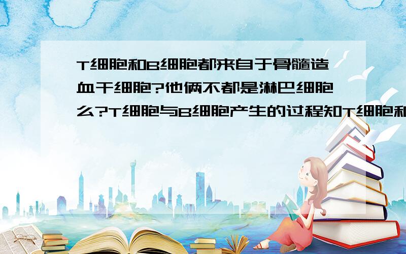 T细胞和B细胞都来自于骨髓造血干细胞?他俩不都是淋巴细胞么?T细胞与B细胞产生的过程知T细胞和B细胞都来自于骨髓造血干细胞?他俩不都是淋巴细胞么?T细胞与B细胞产生的过程知道不?拜托了