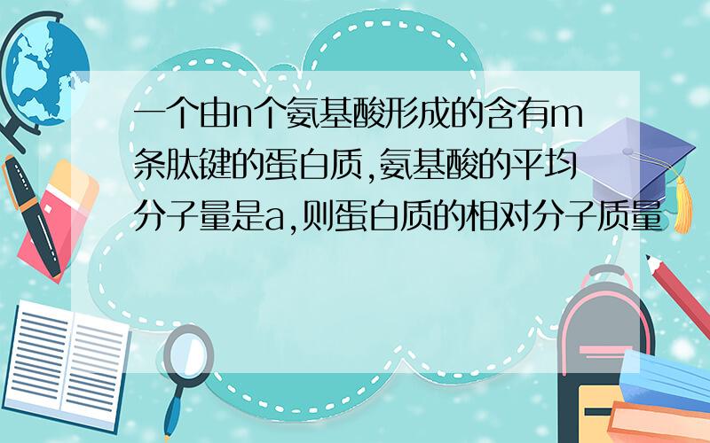 一个由n个氨基酸形成的含有m条肽键的蛋白质,氨基酸的平均分子量是a,则蛋白质的相对分子质量