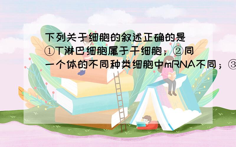 下列关于细胞的叙述正确的是 ①T淋巴细胞属于干细胞；②同一个体的不同种类细胞中mRNA不同；③细胞下列关于细胞的叙述正确的是①T淋巴细胞属于干细胞；②同一个体的不同种类细胞中mRN