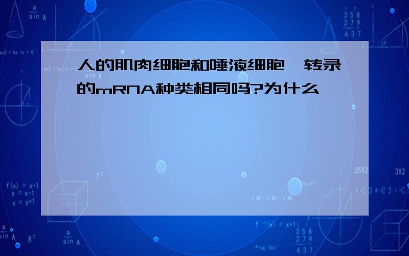 人的肌肉细胞和唾液细胞,转录的mRNA种类相同吗?为什么