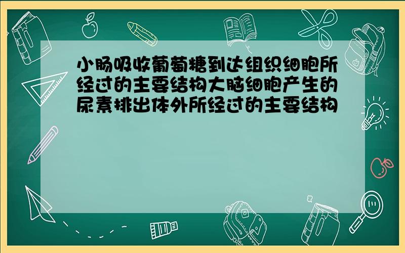 小肠吸收葡萄糖到达组织细胞所经过的主要结构大脑细胞产生的尿素排出体外所经过的主要结构