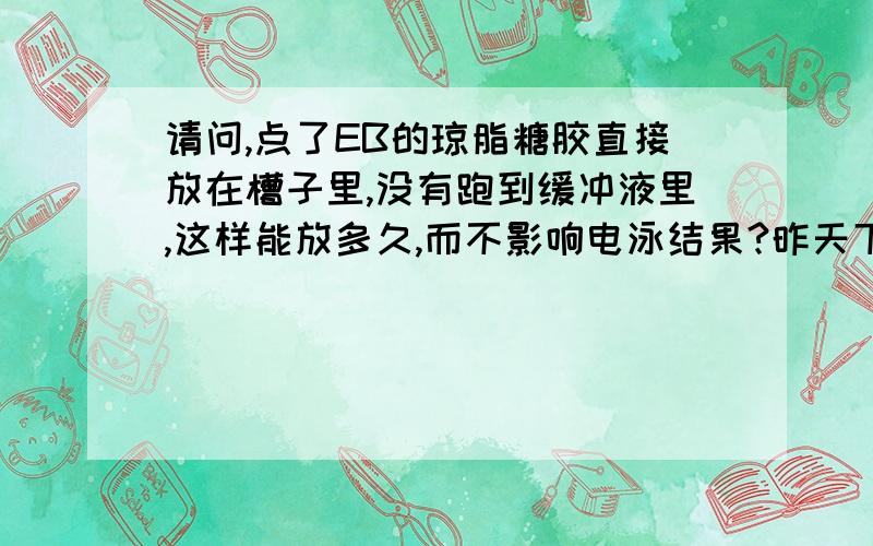 请问,点了EB的琼脂糖胶直接放在槽子里,没有跑到缓冲液里,这样能放多久,而不影响电泳结果?昨天下午做的胶,一直放那忘记用了,今天上午才跑的电泳.发觉条带特别暗,是不是做完胶就得用啊?