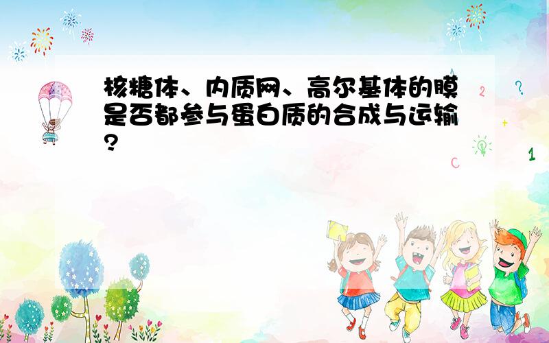 核糖体、内质网、高尔基体的膜是否都参与蛋白质的合成与运输?