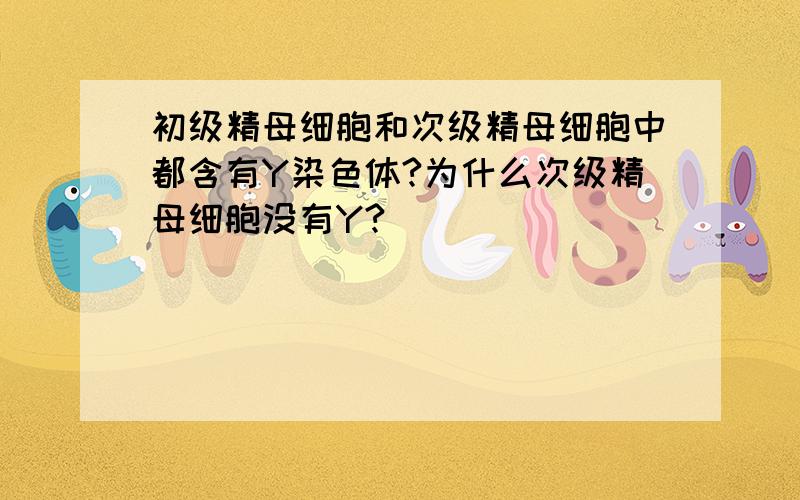 初级精母细胞和次级精母细胞中都含有Y染色体?为什么次级精母细胞没有Y?