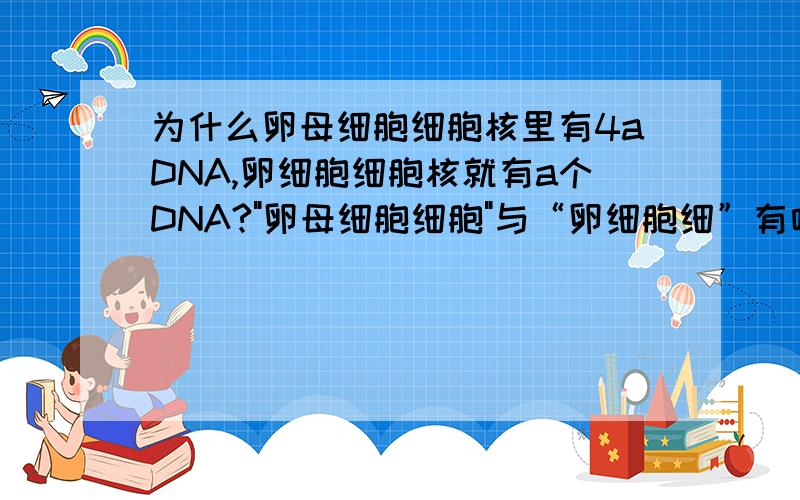 为什么卵母细胞细胞核里有4aDNA,卵细胞细胞核就有a个DNA?