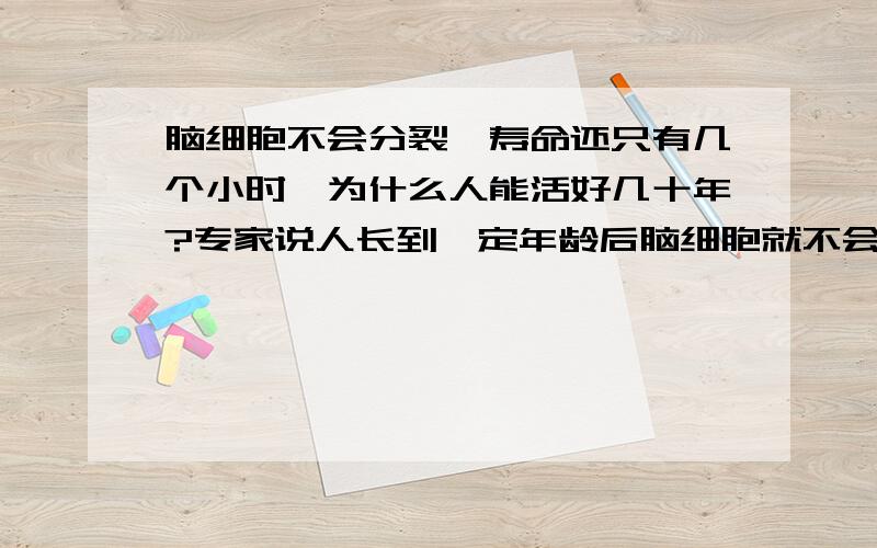 脑细胞不会分裂,寿命还只有几个小时,为什么人能活好几十年?专家说人长到一定年龄后脑细胞就不会再分裂,但脑细胞的寿命再长也不过几天,为什么人能活几十上百年呢?