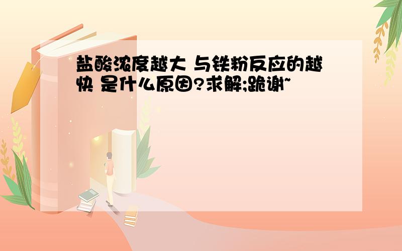 盐酸浓度越大 与铁粉反应的越快 是什么原因?求解;跪谢~