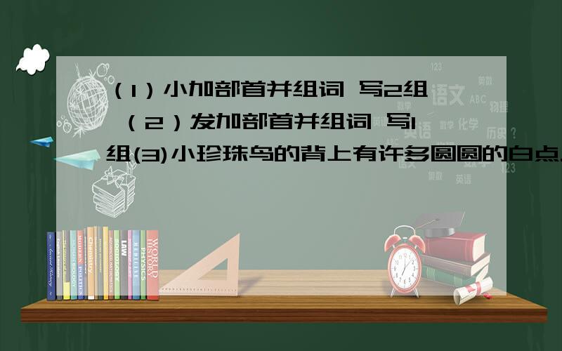 （1）小加部首并组词 写2组 （2）发加部首并组词 写1组(3)小珍珠鸟的背上有许多圆圆的白点.（写比喻句）提示：把白点比作什么.（4）仿写句子：写2句鲸跟牛羊一样用肺呼吸,这也说明它不