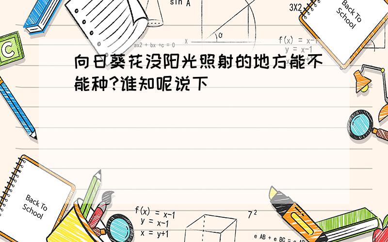 向日葵花没阳光照射的地方能不能种?谁知呢说下