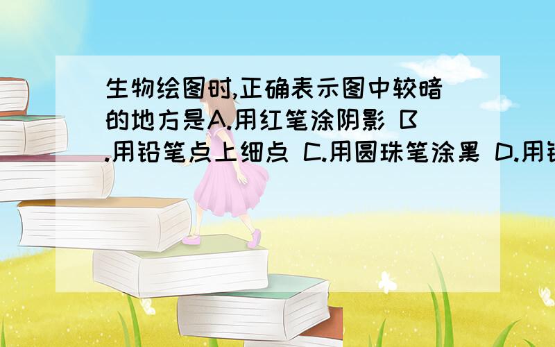 生物绘图时,正确表示图中较暗的地方是A.用红笔涂阴影 B.用铅笔点上细点 C.用圆珠笔涂黑 D.用铅笔涂黑