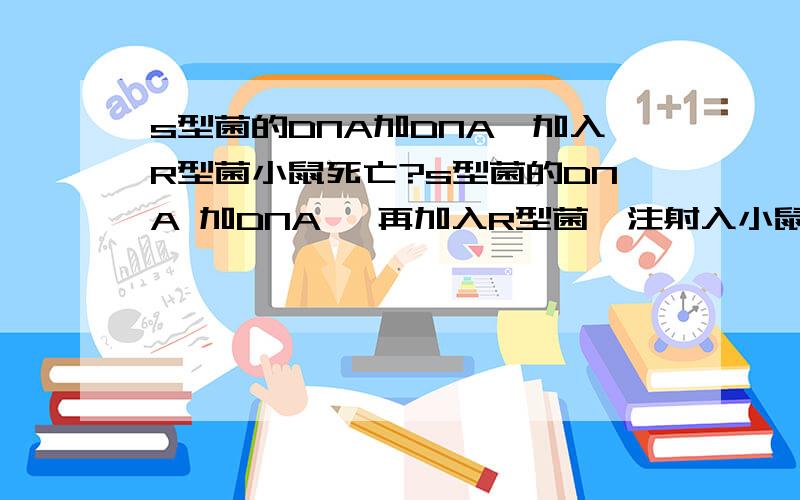 s型菌的DNA加DNA酶加入R型菌小鼠死亡?s型菌的DNA 加DNA酶 再加入R型菌,注射入小鼠R型菌的DNA 加DNA酶 再加入S型菌,注射入小鼠R型菌加DNA酶 高温加热后冷却 加入S菌的DNA 注射入小鼠S型菌加DNA酶