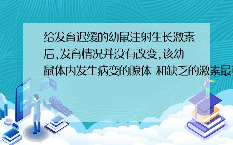 给发育迟缓的幼鼠注射生长激素后,发育情况并没有改变,该幼鼠体内发生病变的腺体 和缺乏的激素最可能是A．性腺和性激素 B．垂体和生长激素 C．甲状腺和甲状腺激素 D．肾上腺和甲状腺激