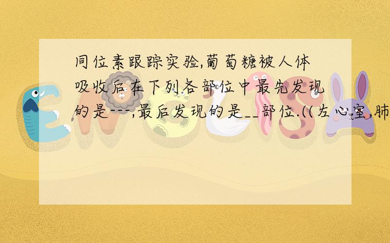 同位素跟踪实验,葡萄糖被人体吸收后在下列各部位中最先发现的是---,最后发现的是__部位.((左心室,肺泡,肾）