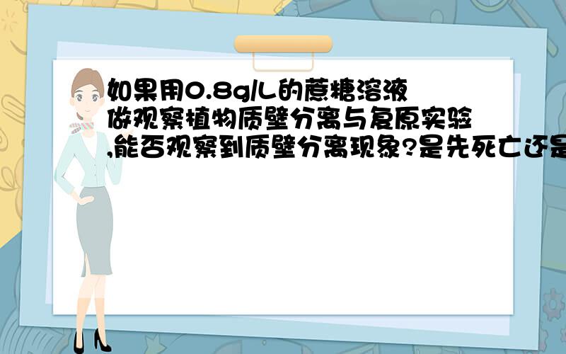 如果用0.8g/L的蔗糖溶液做观察植物质壁分离与复原实验,能否观察到质壁分离现象?是先死亡还是分离后再死