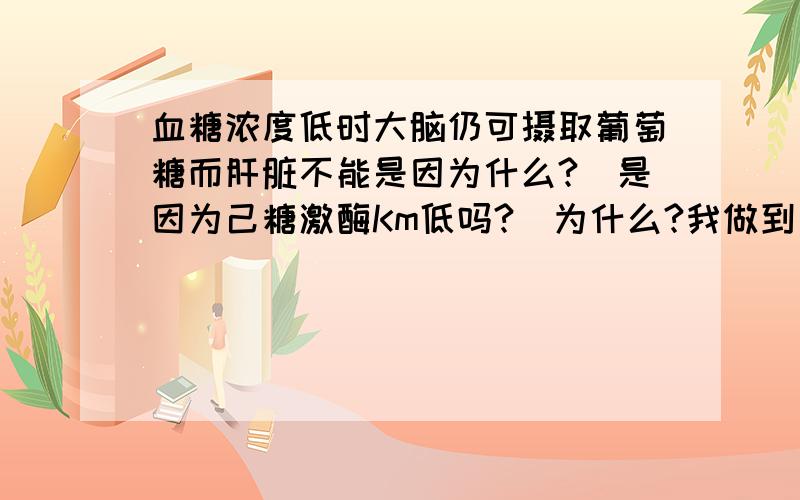 血糖浓度低时大脑仍可摄取葡萄糖而肝脏不能是因为什么?（是因为己糖激酶Km低吗?）为什么?我做到一道选择题,他说是因为己糖激酶Km低,不过您说的是肌肉,大脑也一样吗?