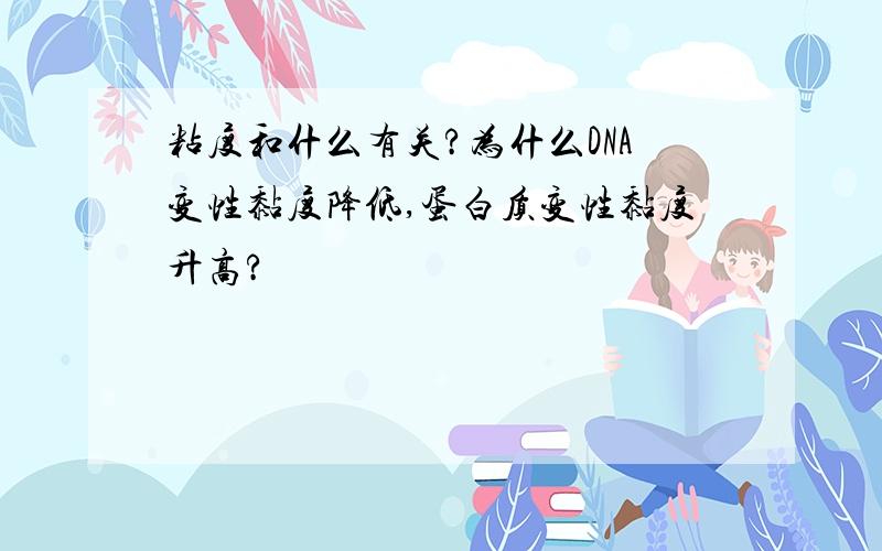 粘度和什么有关?为什么DNA变性黏度降低,蛋白质变性黏度升高?