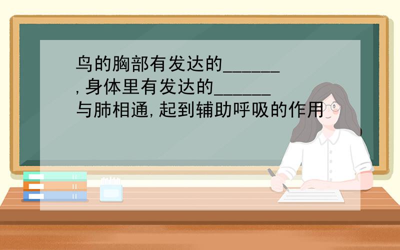 鸟的胸部有发达的______,身体里有发达的______与肺相通,起到辅助呼吸的作用