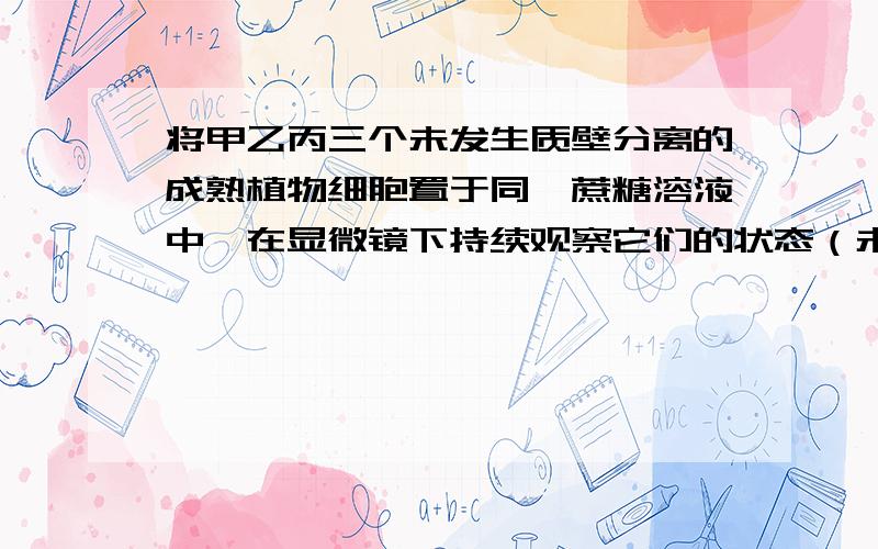 将甲乙丙三个未发生质壁分离的成熟植物细胞置于同一蔗糖溶液中,在显微镜下持续观察它们的状态（未完）将甲乙丙三个未发生质壁分离的成熟植物细胞置于同一蔗糖溶液中,在显微镜下持