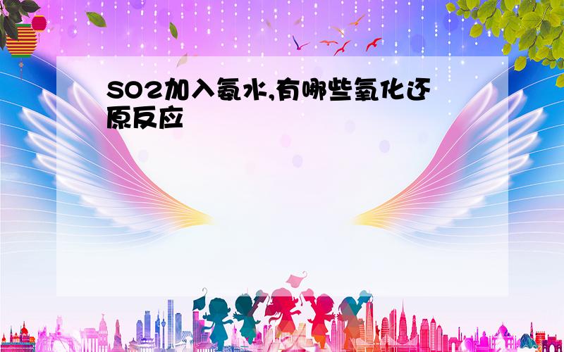 SO2加入氨水,有哪些氧化还原反应