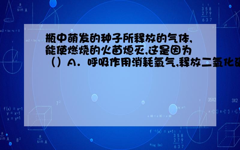 瓶中萌发的种子所释放的气体,能使燃烧的火苗熄灭,这是因为（）A．呼吸作用消耗氧气,释放二氧化碳B．呼吸作用消耗二氧化碳,释放氧气C．光合作用吸收二氧化碳,释放氧气D．光合作用吸收