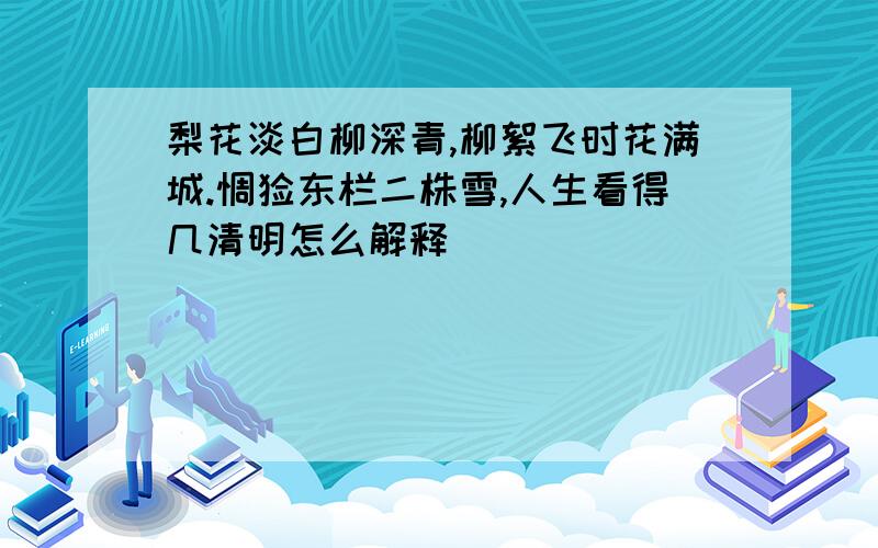 梨花淡白柳深青,柳絮飞时花满城.惆怅东栏二株雪,人生看得几清明怎么解释