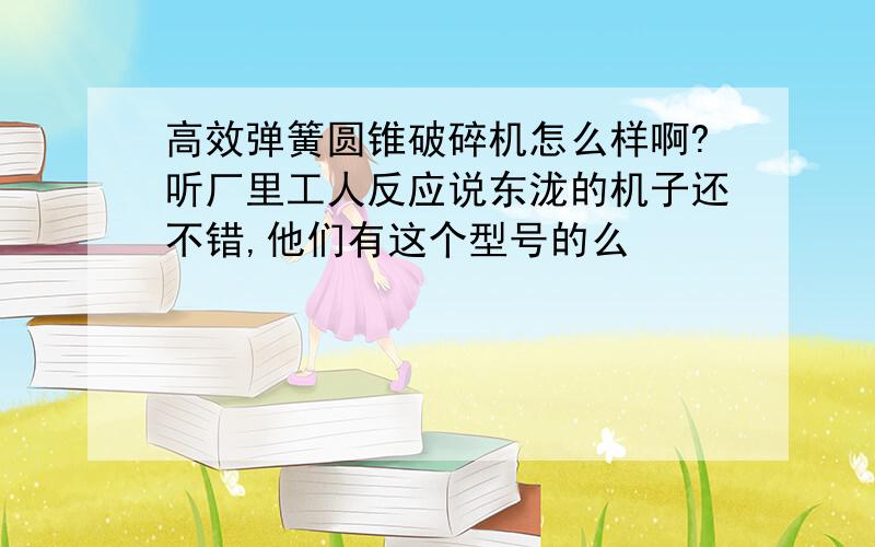 高效弹簧圆锥破碎机怎么样啊?听厂里工人反应说东泷的机子还不错,他们有这个型号的么