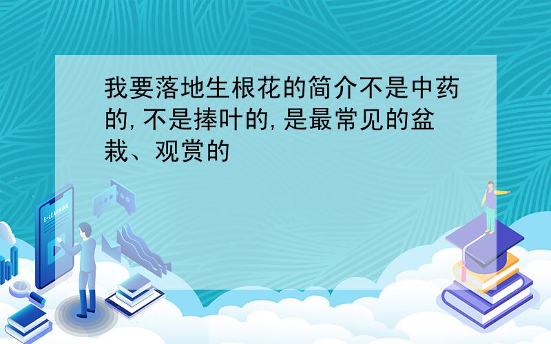 我要落地生根花的简介不是中药的,不是捧叶的,是最常见的盆栽、观赏的