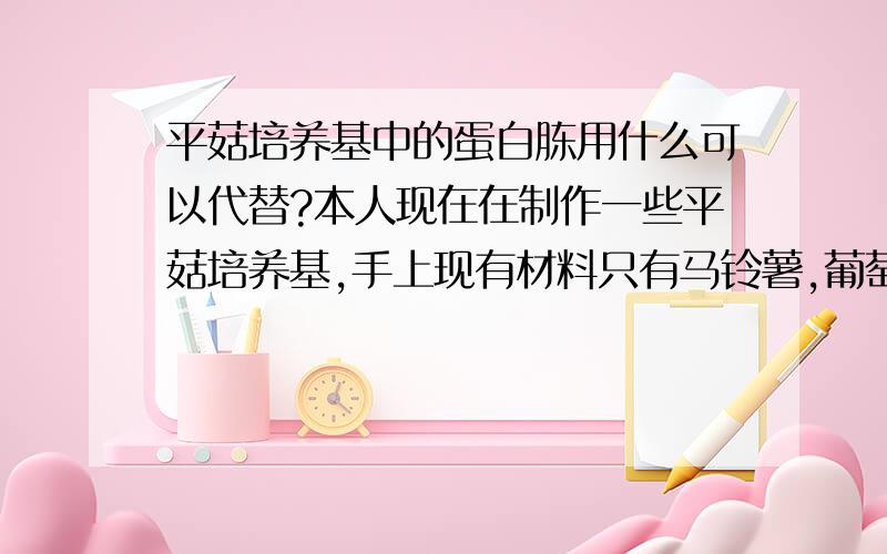 平菇培养基中的蛋白胨用什么可以代替?本人现在在制作一些平菇培养基,手上现有材料只有马铃薯,葡萄糖,琼脂,磷酸二氢钾,维生素B1.不知到这样的材料能不能制成平菇菌种培养基.又或者还可