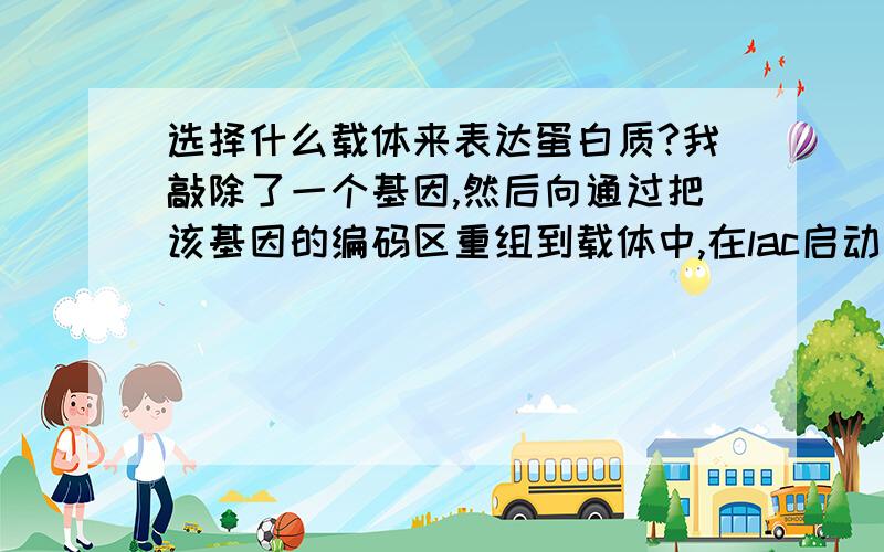 选择什么载体来表达蛋白质?我敲除了一个基因,然后向通过把该基因的编码区重组到载体中,在lac启动子控制下,进行表达,并且能通过IPTG来控制其表达水平,应该选择什么样的载体?使用的菌株