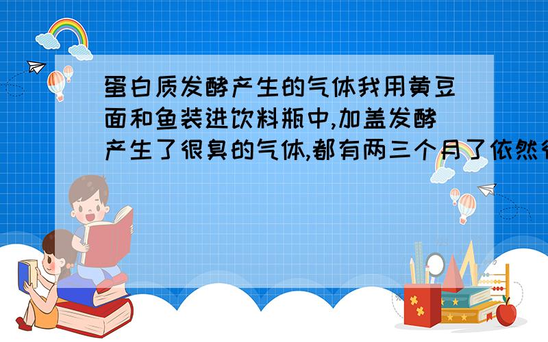 蛋白质发酵产生的气体我用黄豆面和鱼装进饮料瓶中,加盖发酵产生了很臭的气体,都有两三个月了依然很臭.今天我将瓶中倒入少量84消毒液.立刻就起了泡沫又迅速消退了.然后一点也不臭了,