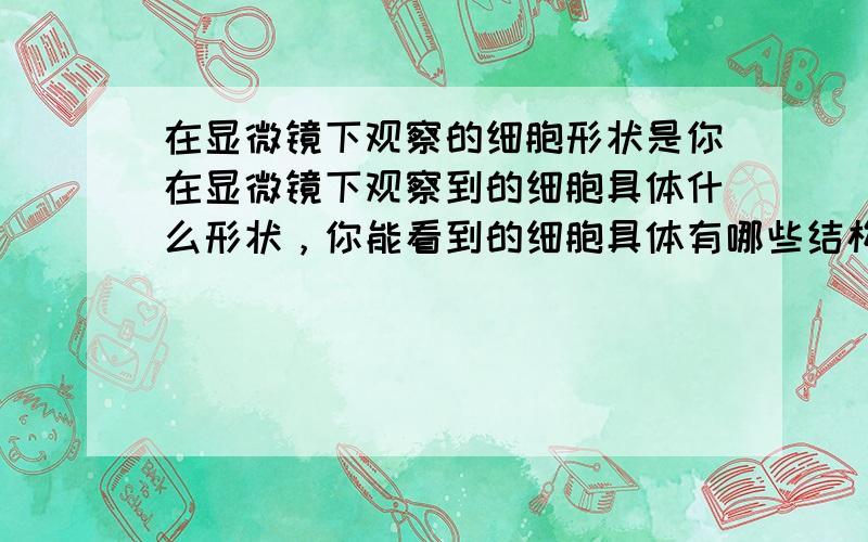 在显微镜下观察的细胞形状是你在显微镜下观察到的细胞具体什么形状，你能看到的细胞具体有哪些结构！如果目镜的放大倍数是5倍，物镜的放大倍数是10倍。那么物象放大了多少倍！