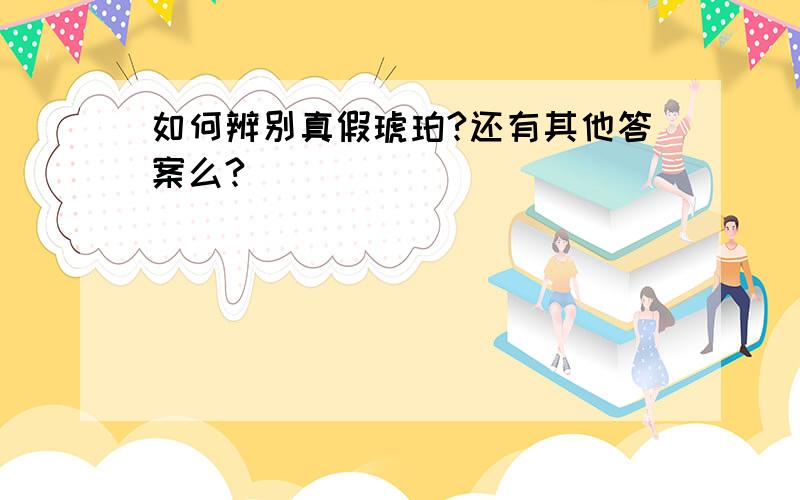 如何辨别真假琥珀?还有其他答案么?