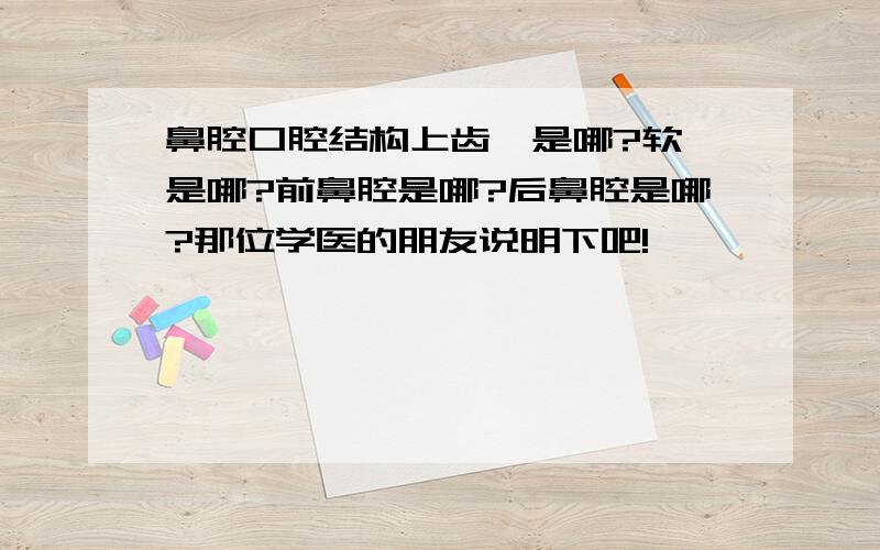 鼻腔口腔结构上齿龈是哪?软腭是哪?前鼻腔是哪?后鼻腔是哪?那位学医的朋友说明下吧!