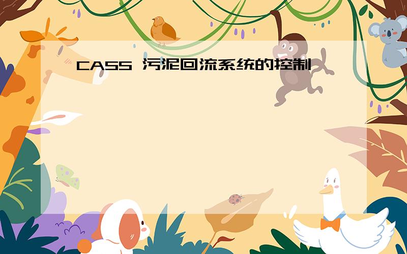 CASS 污泥回流系统的控制