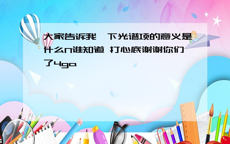 大家告诉我一下光谱项的意义是什么N谁知道 打心底谢谢你们了4ga