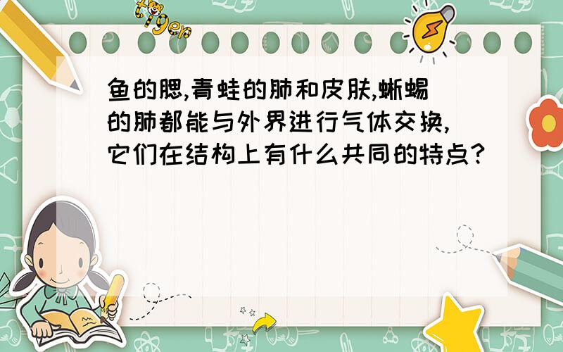 鱼的腮,青蛙的肺和皮肤,蜥蜴的肺都能与外界进行气体交换,它们在结构上有什么共同的特点?