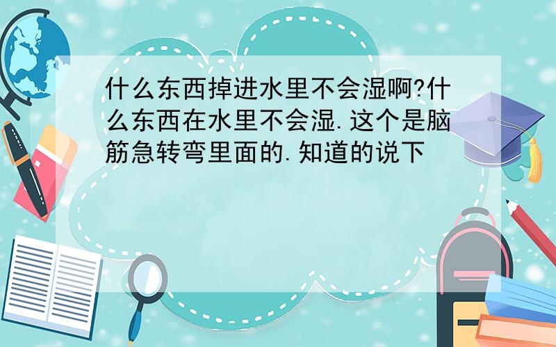 什么东西掉进水里不会湿啊?什么东西在水里不会湿.这个是脑筋急转弯里面的.知道的说下