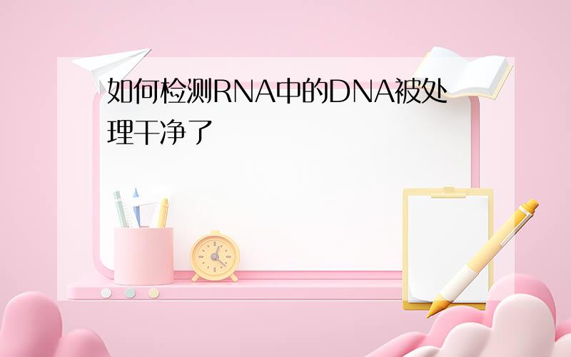 如何检测RNA中的DNA被处理干净了