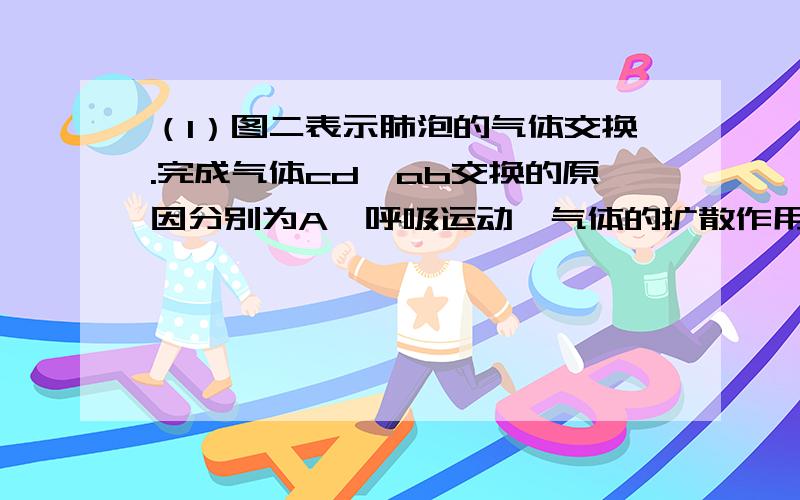 （1）图二表示肺泡的气体交换.完成气体cd、ab交换的原因分别为A、呼吸运动,气体的扩散作用B、气体的扩散作用,呼吸运动 C、呼吸运动,呼吸运动 D、气体的扩散作用,气体的扩散作用（2）图