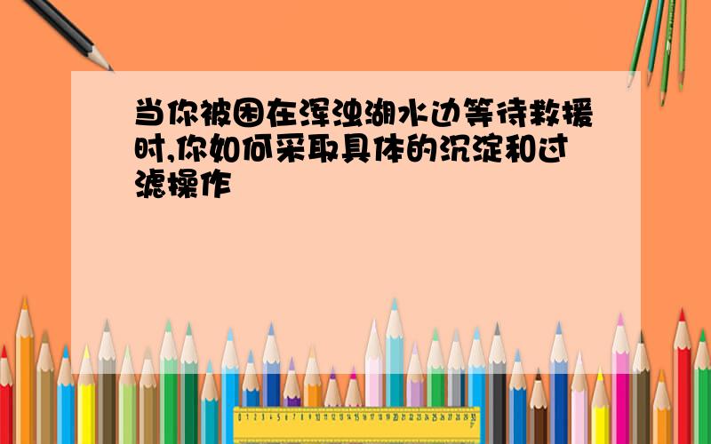 当你被困在浑浊湖水边等待救援时,你如何采取具体的沉淀和过滤操作