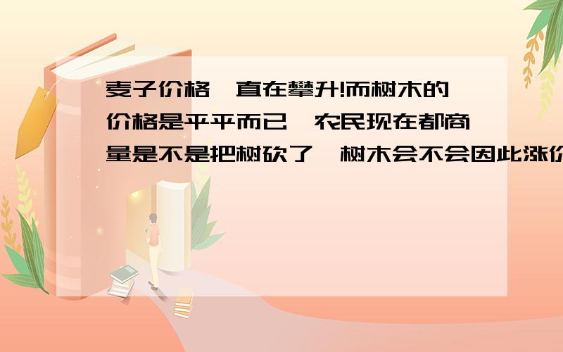 麦子价格一直在攀升!而树木的价格是平平而已,农民现在都商量是不是把树砍了,树木会不会因此涨价呢?一个农民的心声!